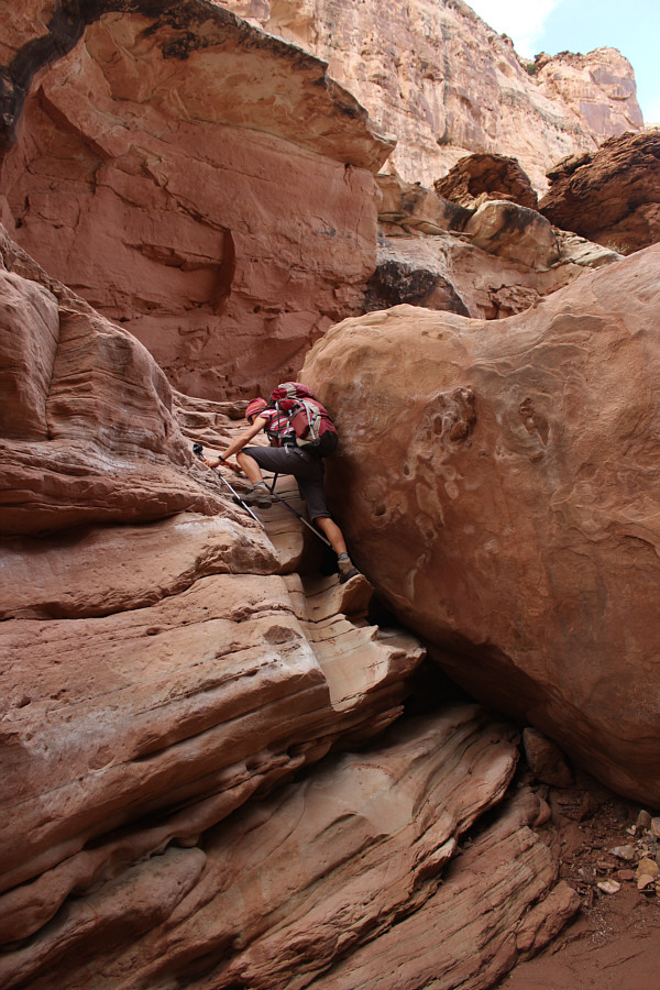 Guess which way I went!