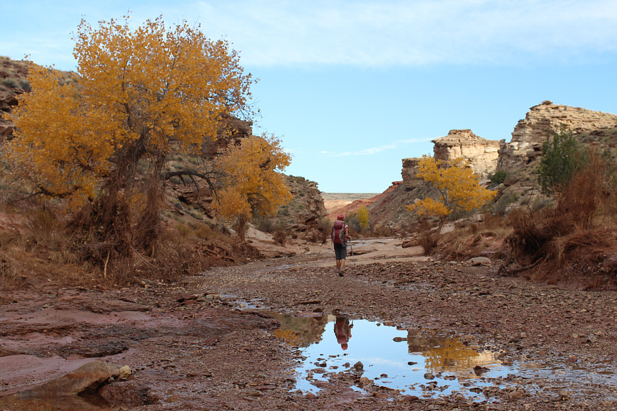 How about having a wash in the wash??