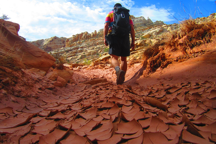 Brilliant photo, Zosia!