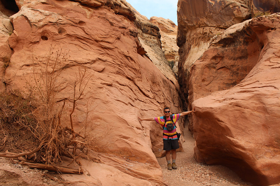 That was fun; let's do the loop again!