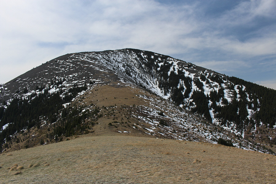 Maybe I should have brought skis too!