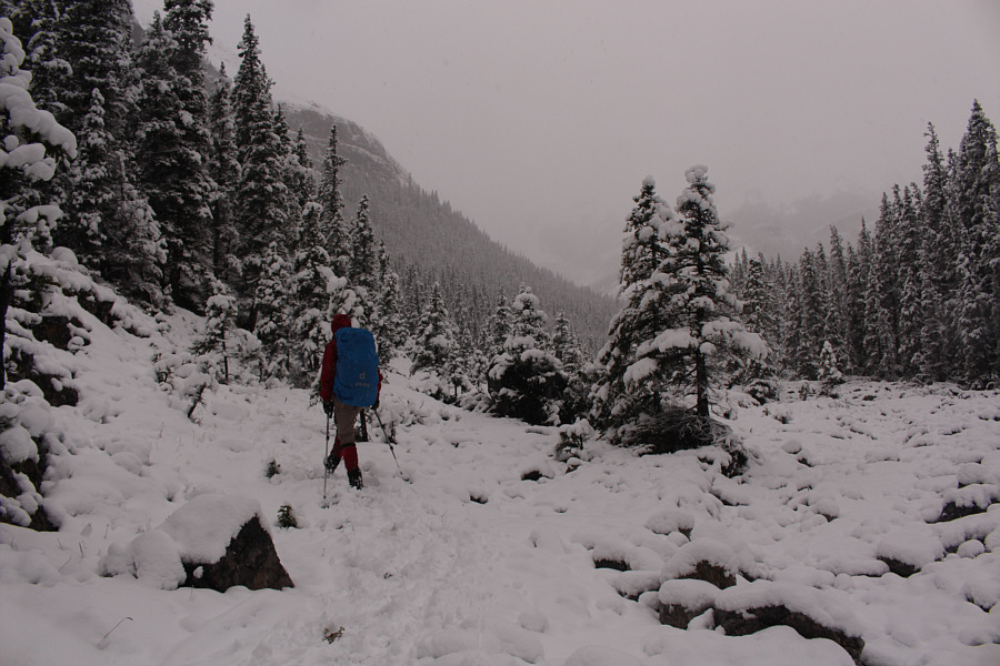 Lovely day for a walk!