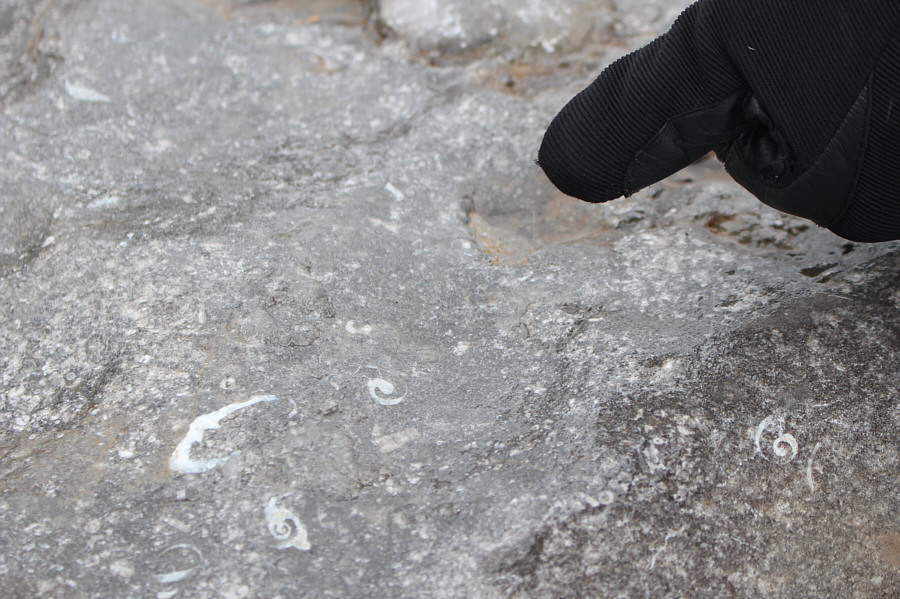 Zosia has good eyes!