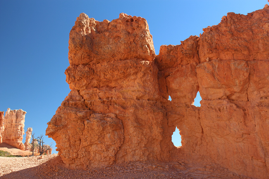 The face of the Devil??