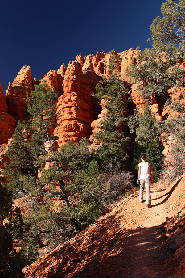 Really, we're just killing time here!