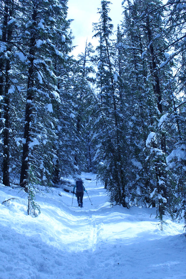 Yikes. I thought we were done with winter...