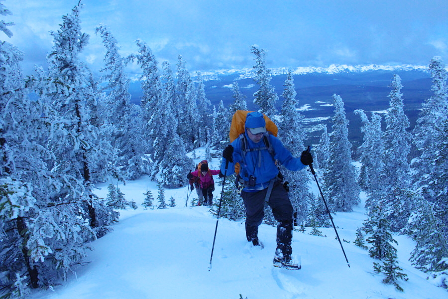 The bluish tinge is because I forgot to change back the ISO setting on my camera from the night before!