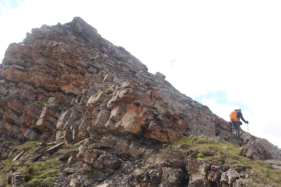 This section was easier than it looks.