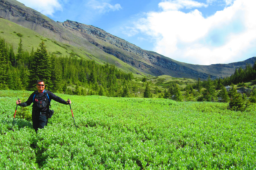 Believe it or not, we're still following a trail here!