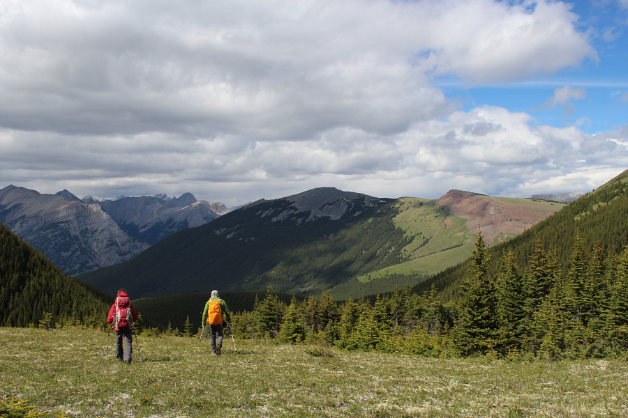 Good thing too 'cause bushwhacking out this valley probably isn't a lot of fun...