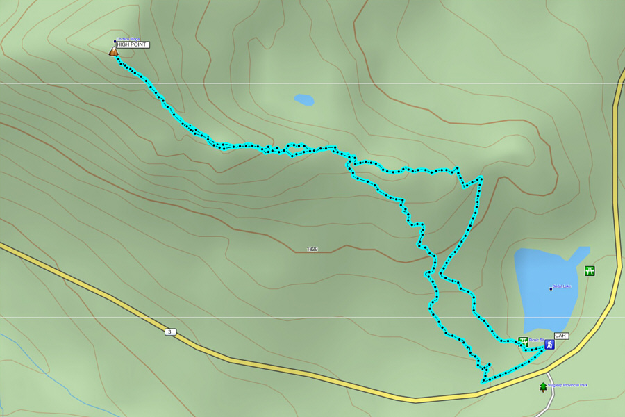 A short but enjoyable outing!