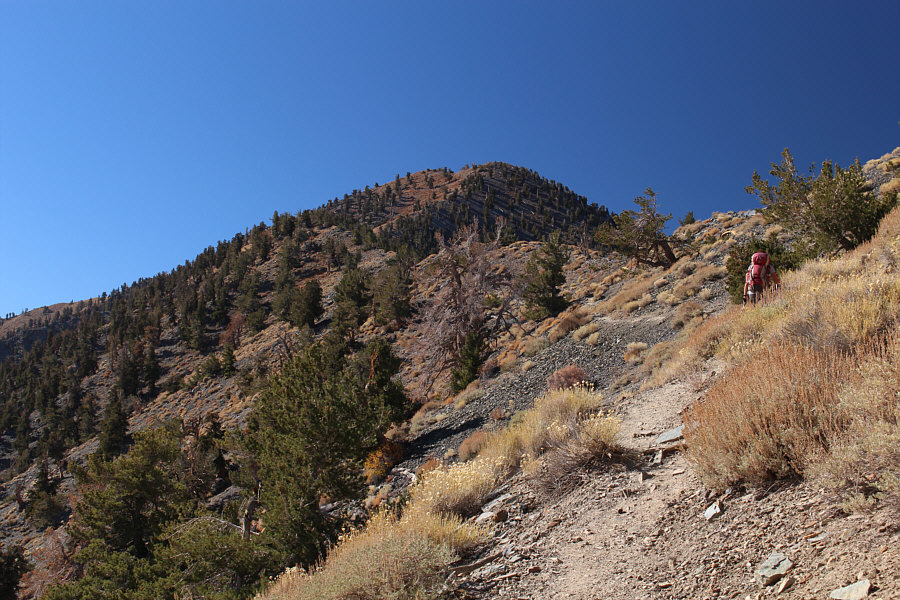 The top is further away than it looks!