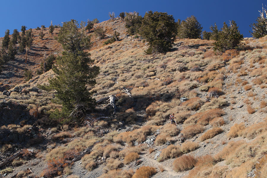 Some people lose patience and take to the ridge crest...