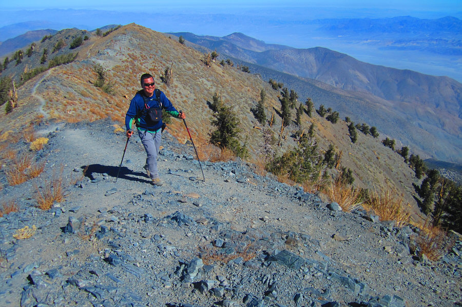 It's struttin' time!