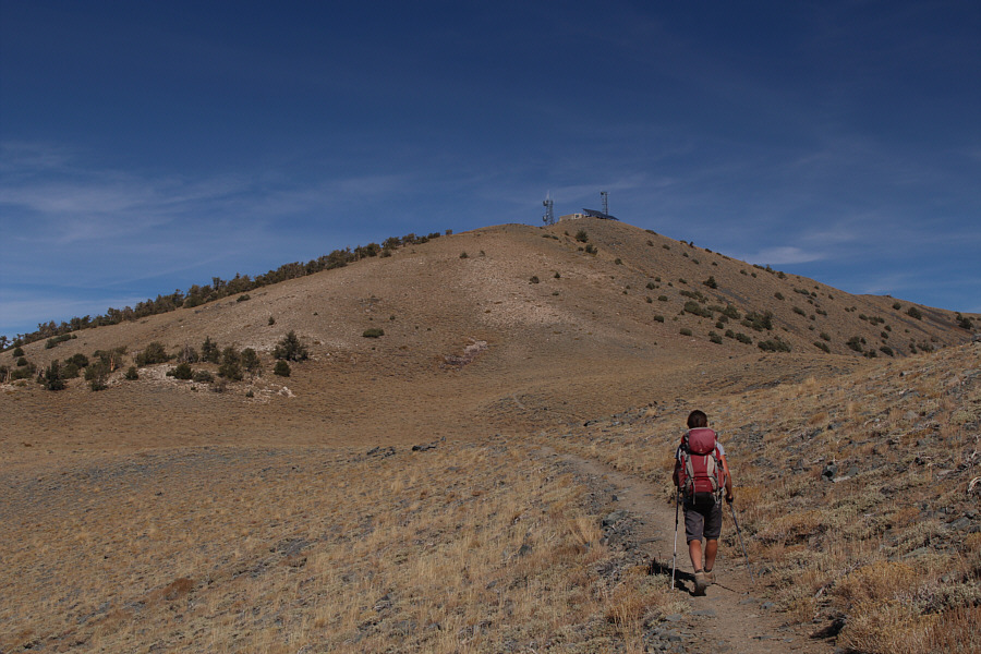 That phone is still ringing, I think...