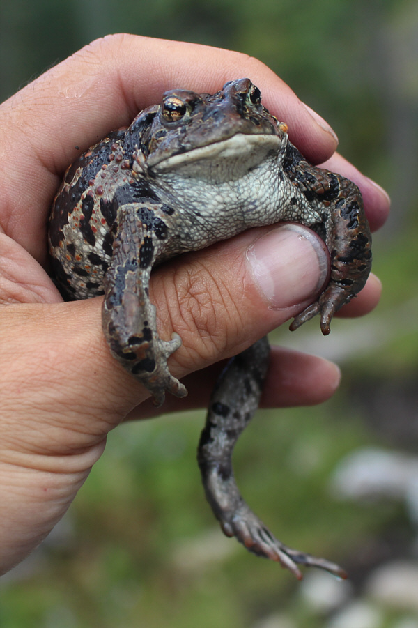 Hmmm...my fingernails are pretty dirty!