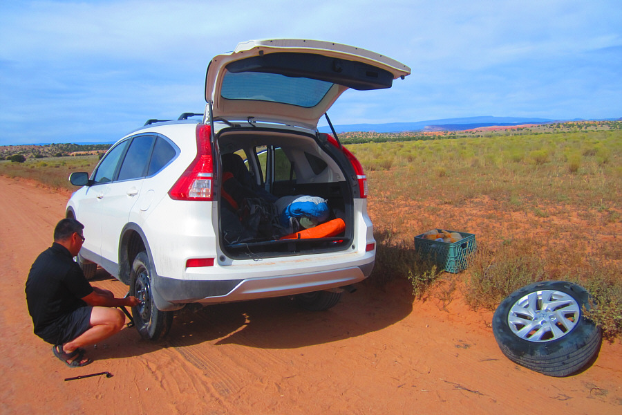 Sigh...not how I imagined spending my vacation!