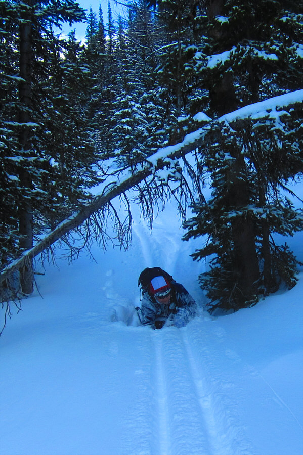 Sigh...why did I get out of bed this morning??