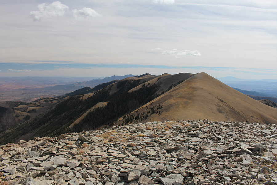 Hey, I can see Dwight...I think!