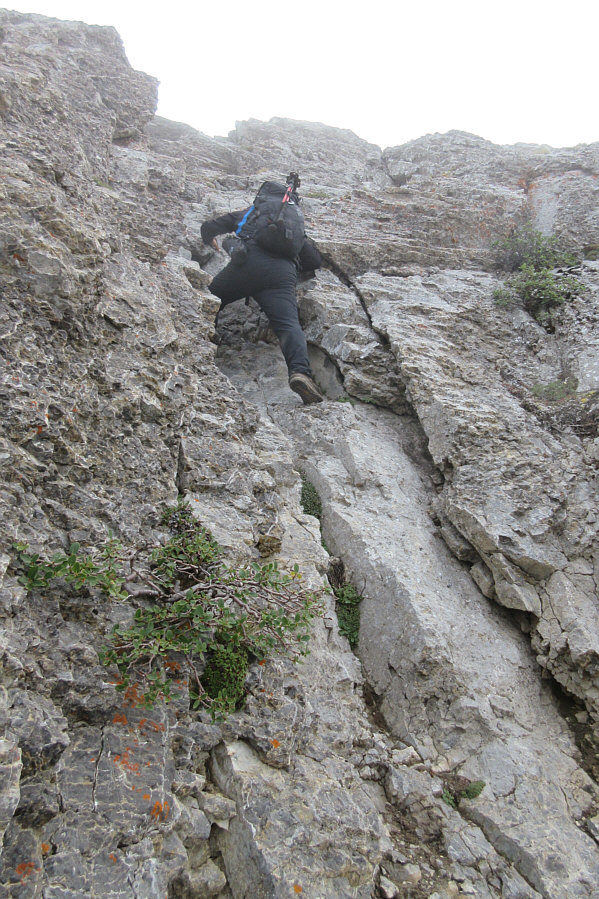 This is what I came here for today!