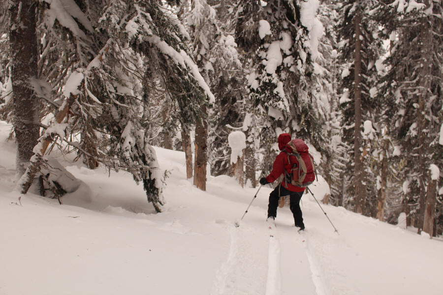 Jazda na nartach w dół stoku na południowy zachód od Grassy Mountain jest zarówno trudne i dużo zabawy.