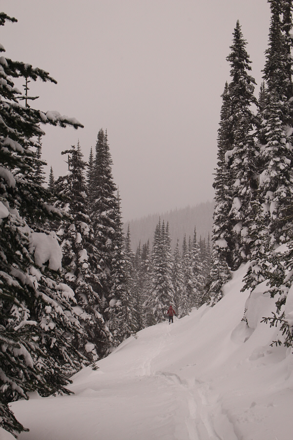 Trasa po Polsce jeziora jest w większości łatwe do narciarskich.