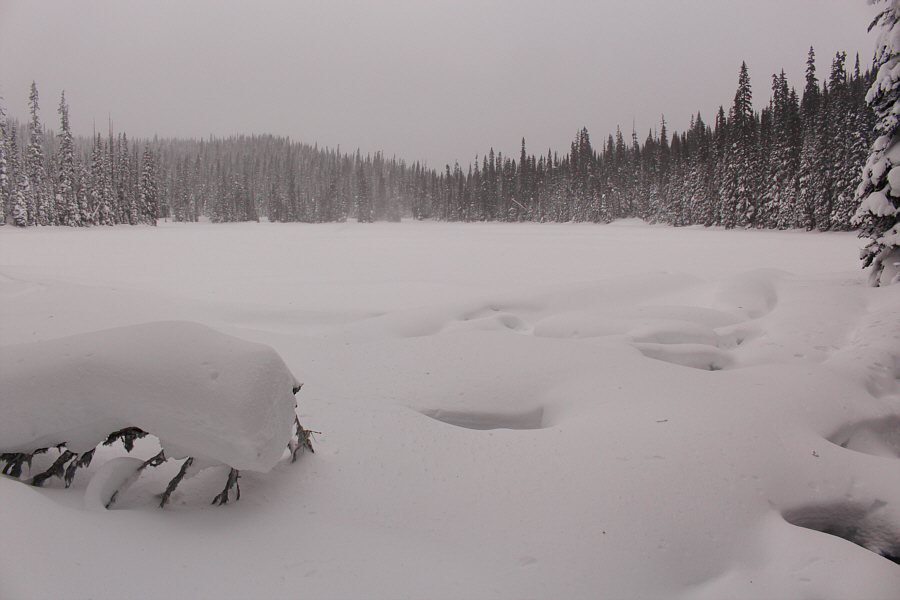 Polska Jezioro jest pokryte śniegiem na ten dzień.