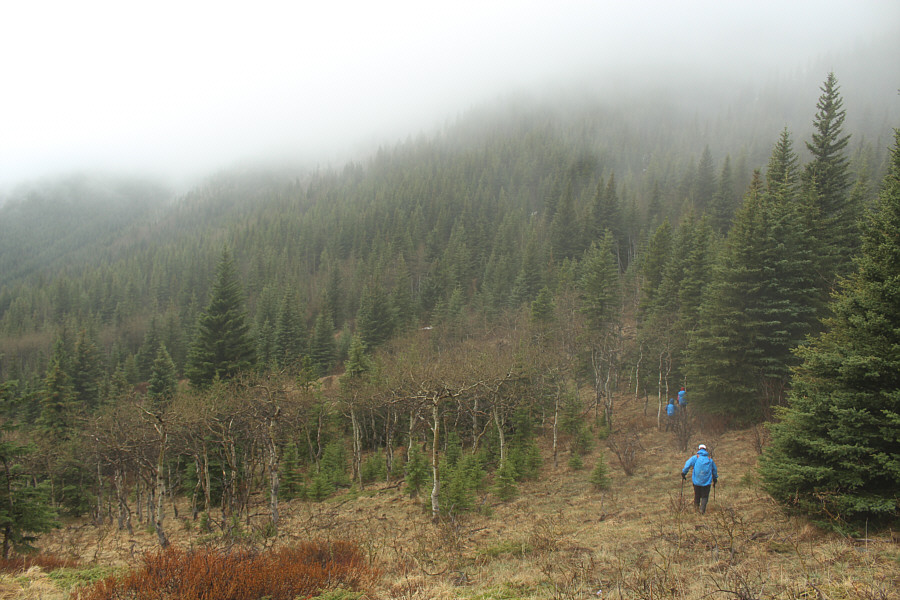 I don't remember it being this difficult last time I was here...