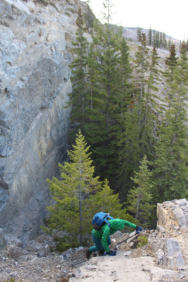 Not the best access route for Hidden Valley--you can blame Zosia for this one!