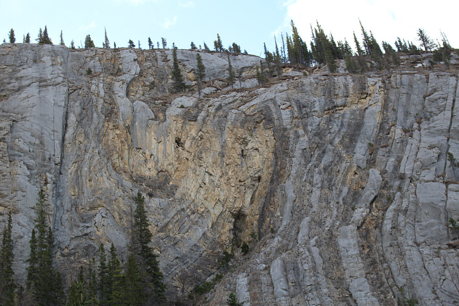 In a syncline fold, the youngest rocks are at the core!