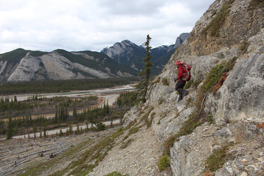 Almost done...except for that deadfall at lower left!