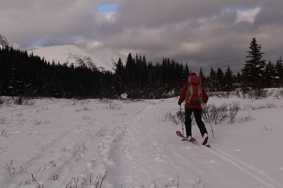 A few bushes sticking out still but not bad for early season.