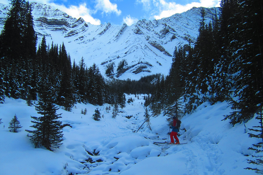 I think I've had enough for the day!