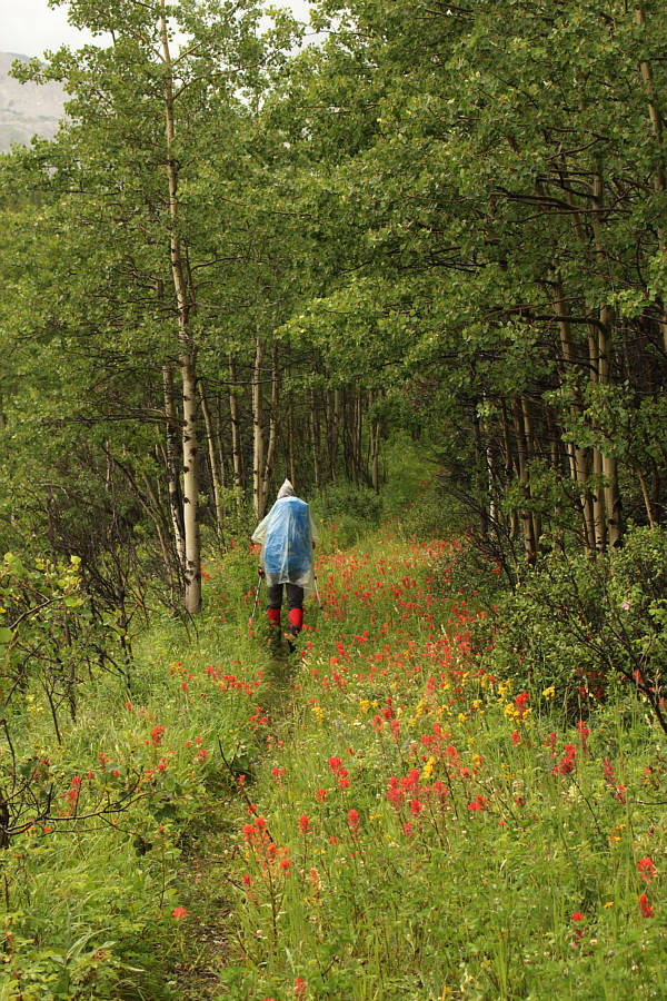 Yep, it's raining...