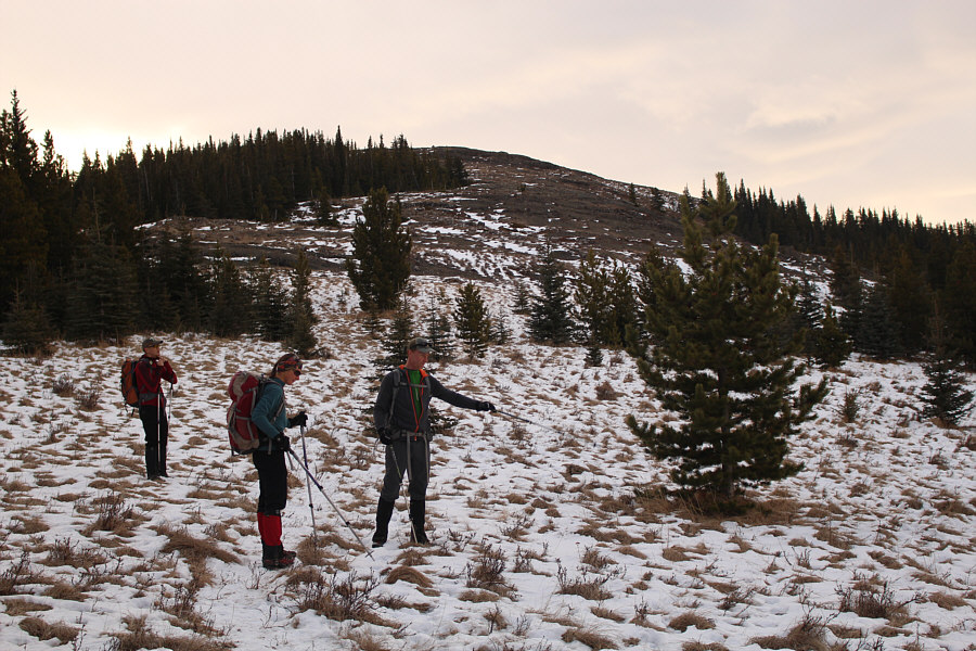 What are Zosia and Simon looking at? Footprints?