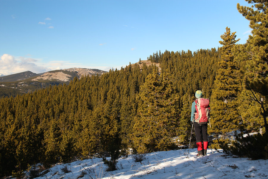 There better be some views up there!