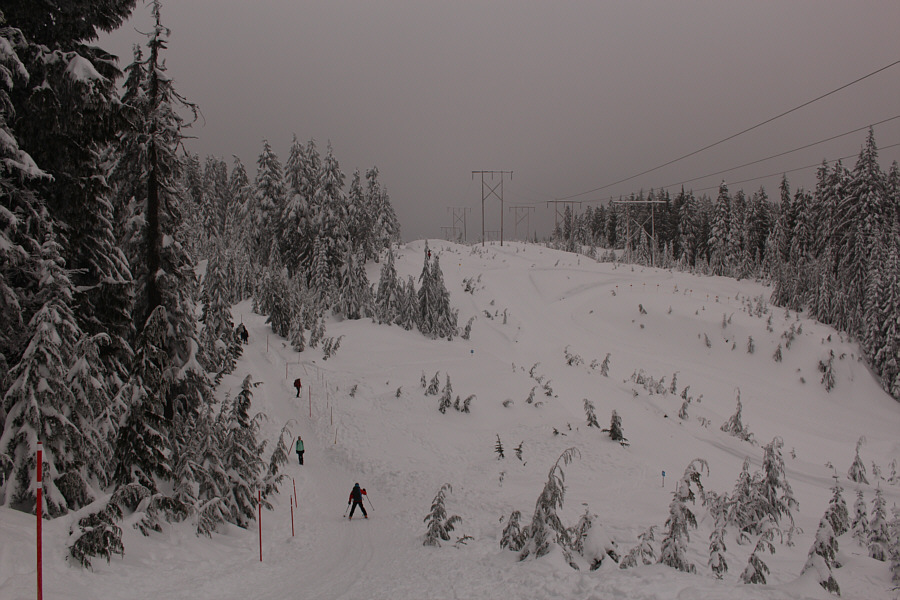 Looks tempting to sneak over to the cross-country ski trail underneath the powerline...