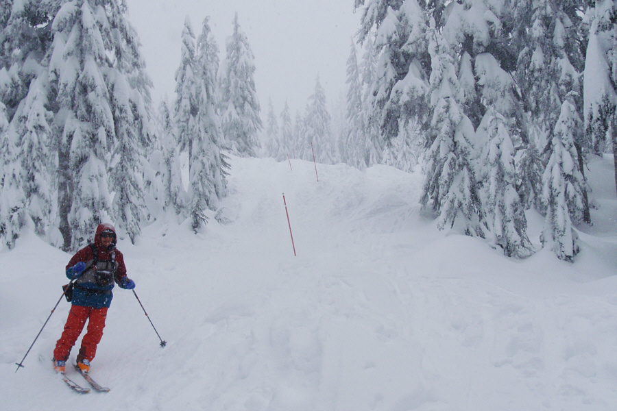 Hey, this is kinda fun!