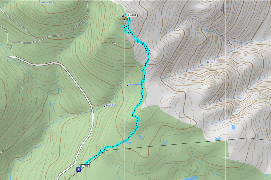 A great place to learn how to dodge snowshoers while skiing!