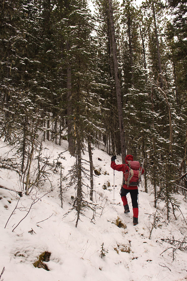 If in doubt, go straight up!