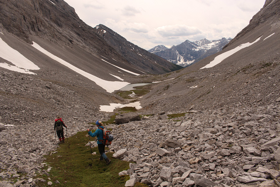 There's even a green carpet to walk on!