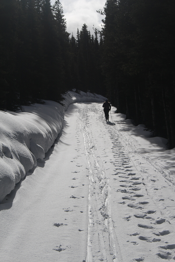 Not bad, but the trail would have been so much more fun to ski down had it been groomed.