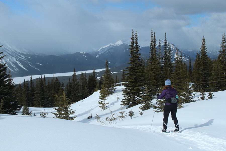 See you at the bottom!