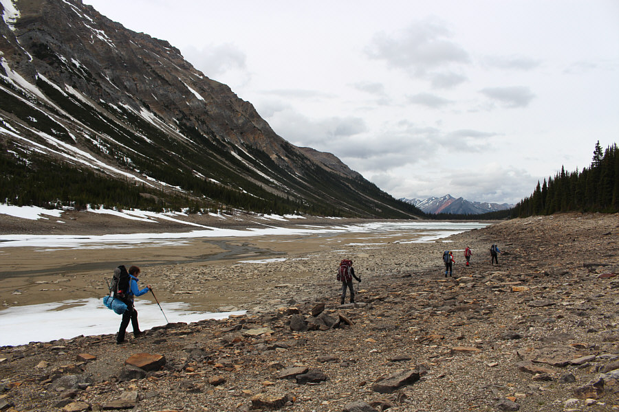 Who pulled out the plug??