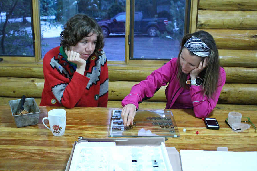 That's a terrible backgammon set.