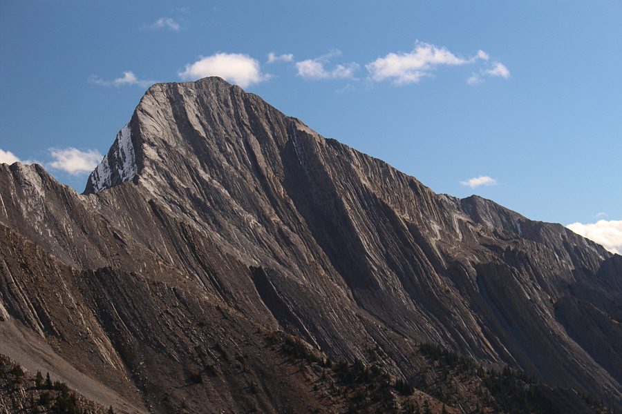 I might come back to try this GR in the future...