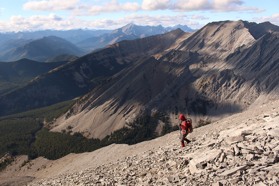 Zosia is moving with a purpose!