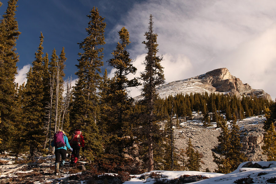 Feels nice to be in the sunshine again!