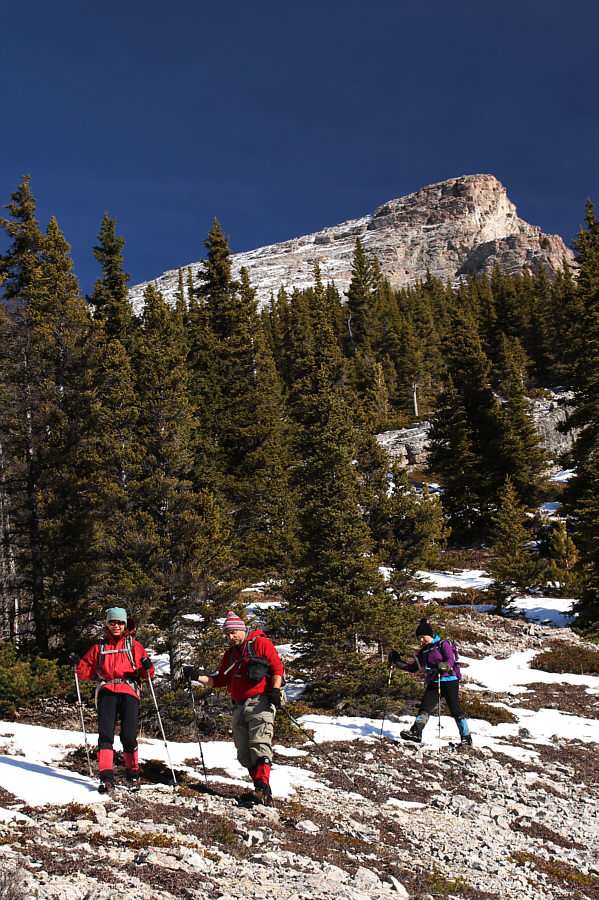 See ya later, Little Lougheed!