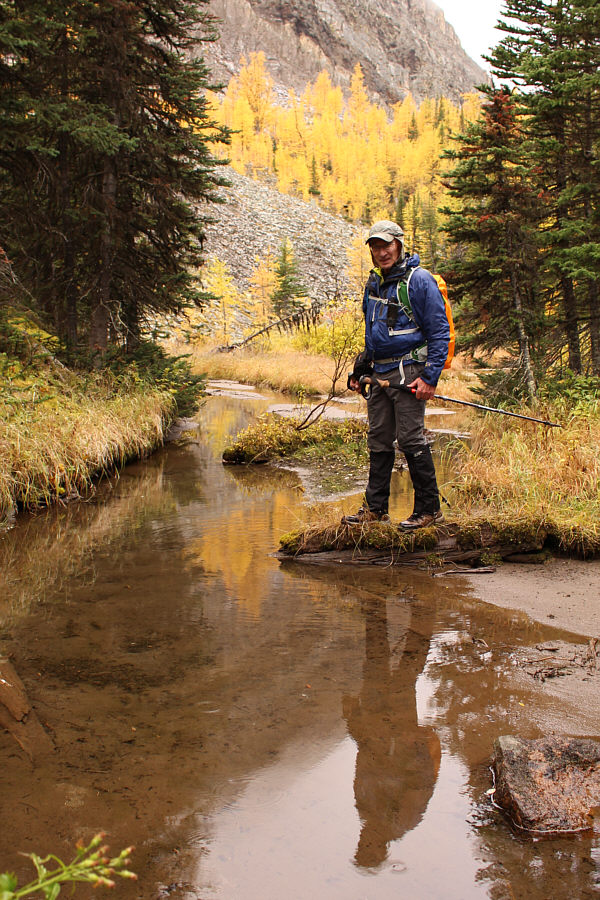 There was a fairly big fish swimming here.